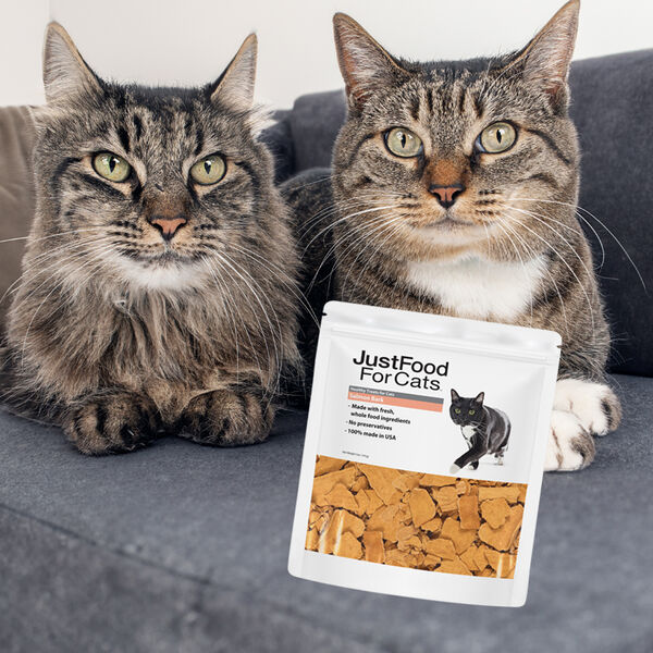 Salmon Bark Treat 5 oz - Cat